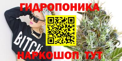 дмт Пыть-Ях